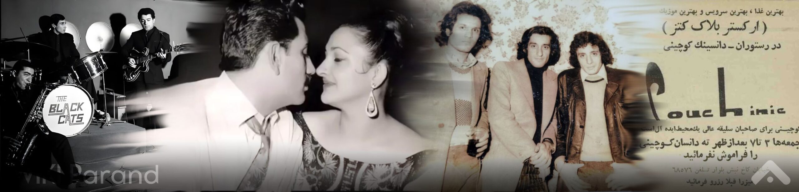 کوچینی بلک کتس